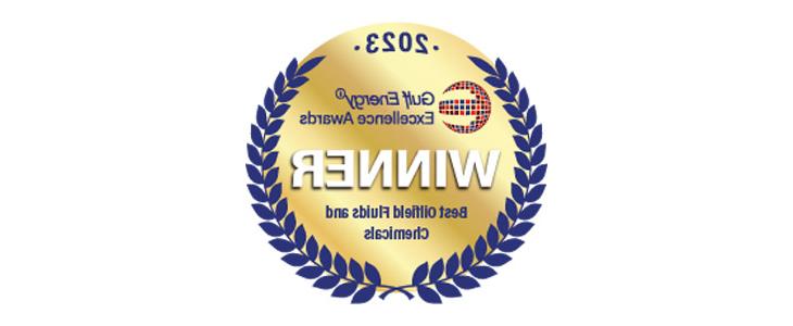 2023 海湾能源 Information Excellence Award logo